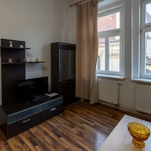  Apartment Downtown
